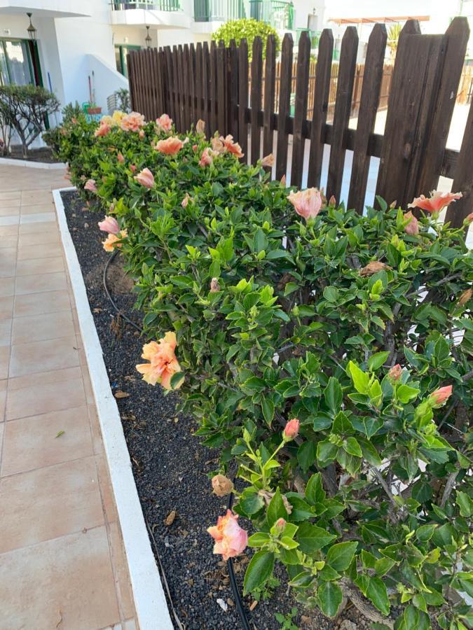 San Valentine Appartamento Corralejo Esterno foto